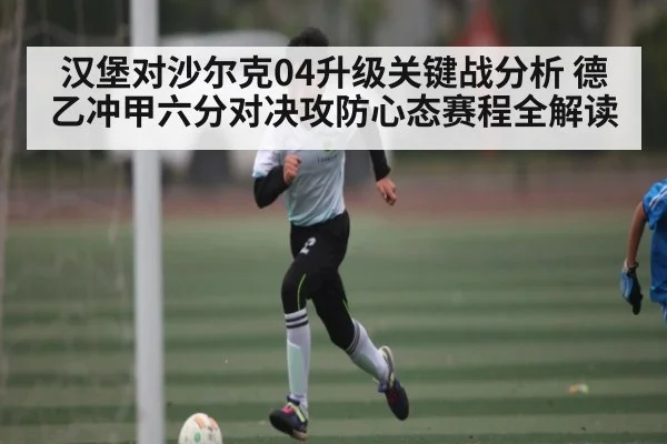汉堡对沙尔克04升级关键战分析 德乙冲甲六分对决攻防心态赛程全解读 - FeiFan Sports