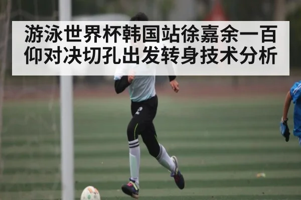 游泳世界杯韩国站徐嘉余一百仰对决切孔出发转身技术分析 - FeiFan Sports