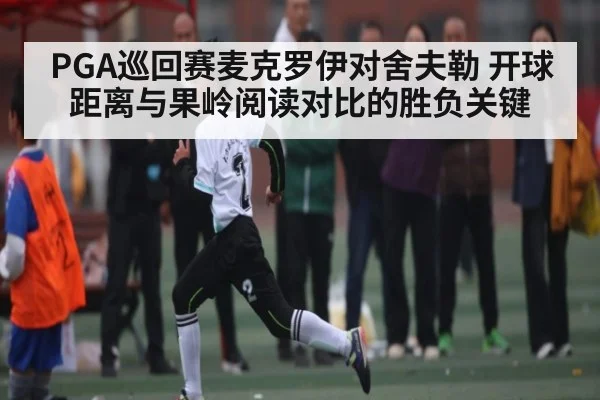 PGA巡回赛麦克罗伊对舍夫勒 开球距离与果岭阅读对比的胜负关键 - FeiFan Sports